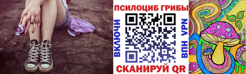 мега рабочий сайт  Инсар  Псилоцибиновые грибы Psilocybine cubensis 